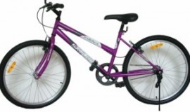Bicicleta Skyland 24 MTB Dama