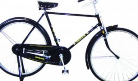 Bicicleta 28 tipo INGLESA Hombre