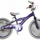 Bicicleta Skyland 20 Niña