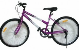 Bicicleta Skyland 24 MTB Dama