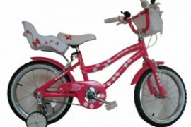 Bicicleta Skyland 16 Niña Bicicleta Skyland 16 Niña