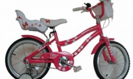Bicicleta Skyland 16 Niña Bicicleta Skyland 16 Niña