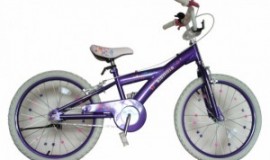 Bicicleta Skyland 20 Niña