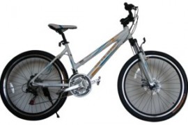 BICICLETA Skyland 26 Aluminio 21 v. Dama