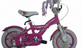 Bicicleta Skyland 12 Niña