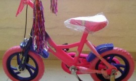 Bicicleta 12 Unisex Eco