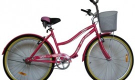 BICICLETA Skyland 26 Beach Cruiser Dama
