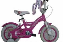 Bicicleta Skyland 12 Niña