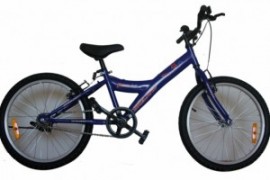 Bicicleta Skyland 20 Niño