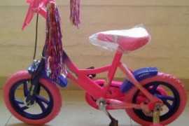 Bicicleta 12 Unisex Eco