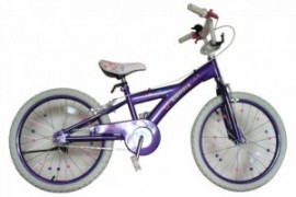 Bicicleta Skyland 20 Niña